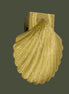Brass Door Knocker Sea Shell