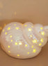 Conch Shell Night Light | Decorative Sea Shell Lamp