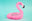 theflamingoslounge.com favicon